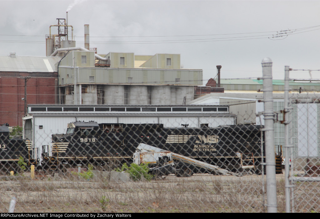 NS 9818
